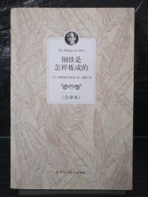 钢铁是怎样炼成的（全译本）