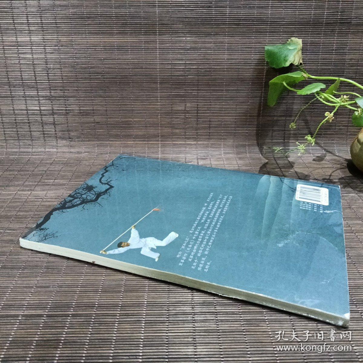 中国民间武术丛书：戚家枪