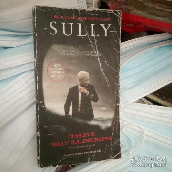 Sully (international edition)