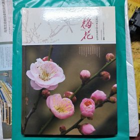 梅花