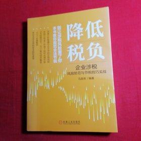 降低税负：企业涉税风险防范与节税技巧实战