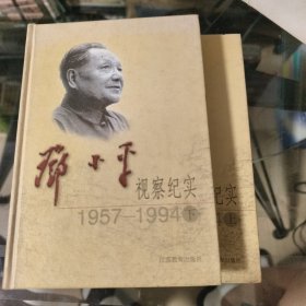 邓小平视察纪实：1957—1994 上下