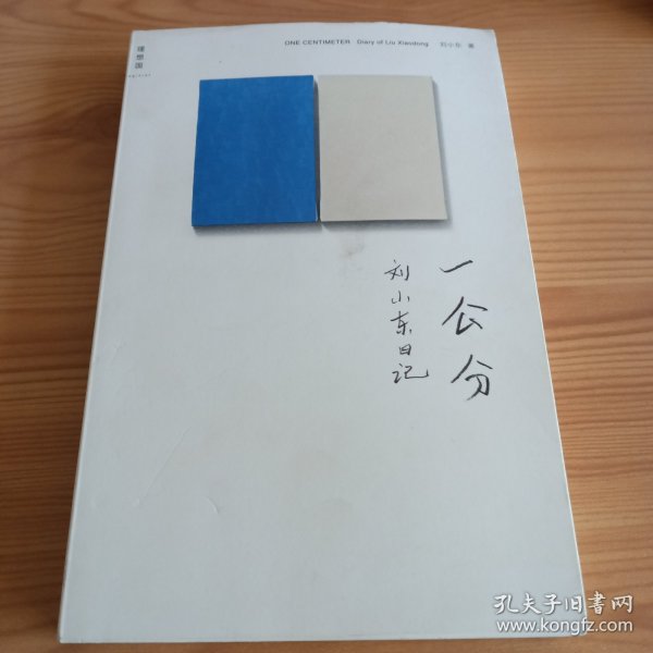 一公分：刘小东日记