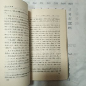 存在与荒谬：中国地下“性产业”考察