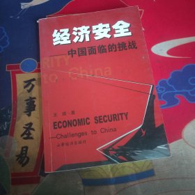 经济安全:中国面临的挑战