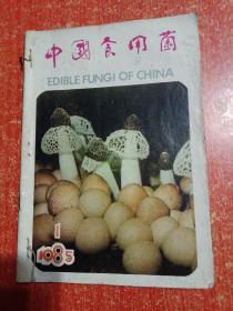 23册(期)合售：中国食用菌1985年第1~6期、浙江食用菌1982年第2~6期+1984年第1~6期+1986年第1.2.3期、江苏食用菌1986年第1.2.3期