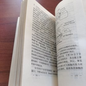 肿瘤学基础与研究方法