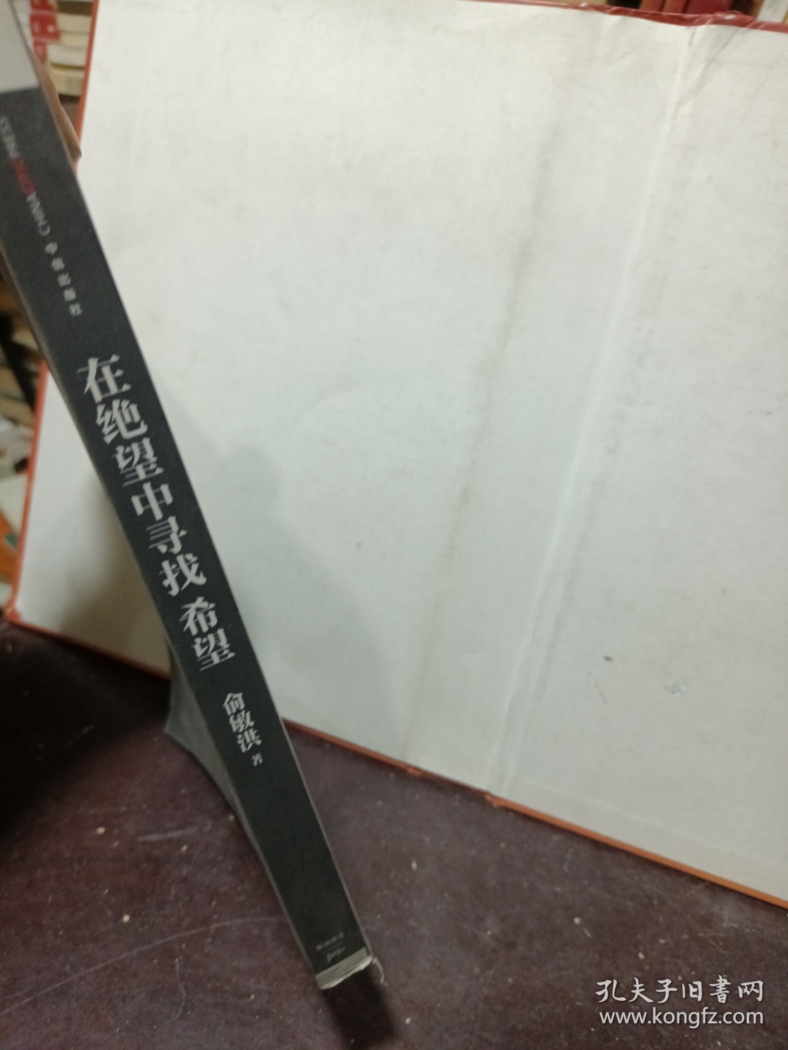 在绝望中寻找希望