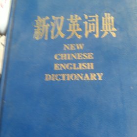 90年代新英汉词典