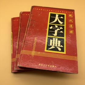 现代汉语大字典(上中下全册)