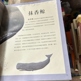 DK探秘缤纷水世界