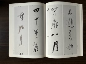 条幅名品选 陈鸿寿 杨岘 二玄社