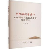 乡村振兴背景下农村金融发展提质增效策略研究