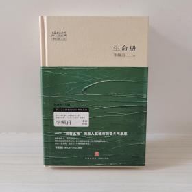 生命册-21世纪新经典文库（茅盾文学奖获奖小说。李佩甫重磅作品。何建明总序推荐）