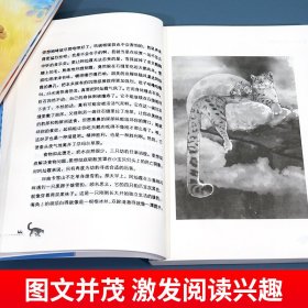 全国优秀儿童文学获奖作家书系D版(全5册)