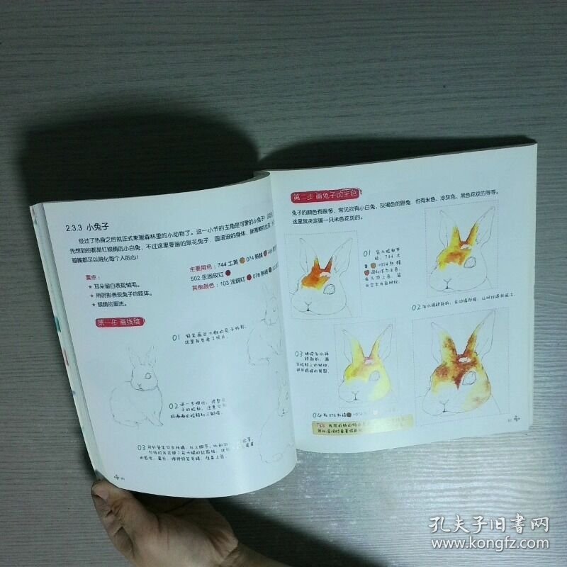 林中圆舞曲 走进森林系的水彩生活