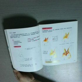 林中圆舞曲 走进森林系的水彩生活