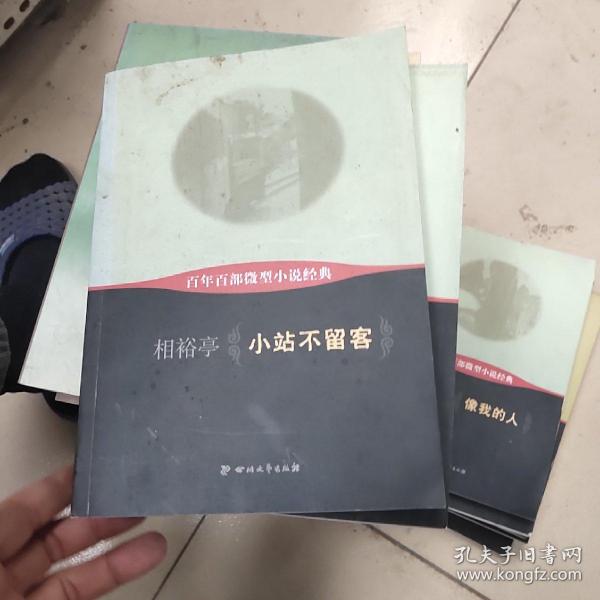 百年百部微型小说经典：小站不留客