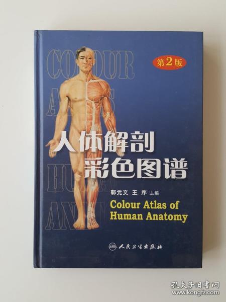 人体解剖彩色图谱