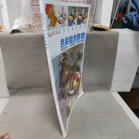 名师范画与技法：色彩组合静物