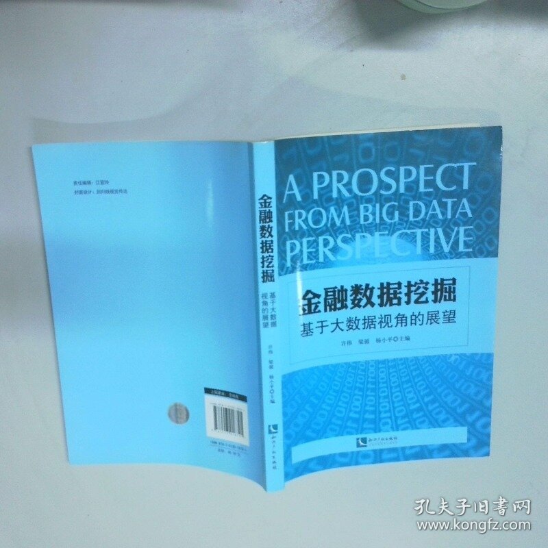 金融数据挖掘 基于大数据视角的展望