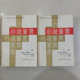 小说鉴赏（上下册）