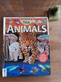 Incredible But True Animals《不可思议的动物》精装英文书，揭秘动物们不为人知的一面