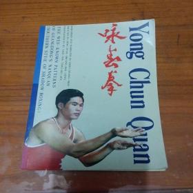 咏春拳:中英文版