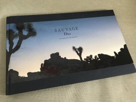 现货 DIOR 册 SAUAGE DIOR