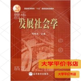 发展社会学9787040184792正版二手书