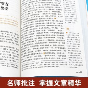 语文名师于娟精评 儒林外史