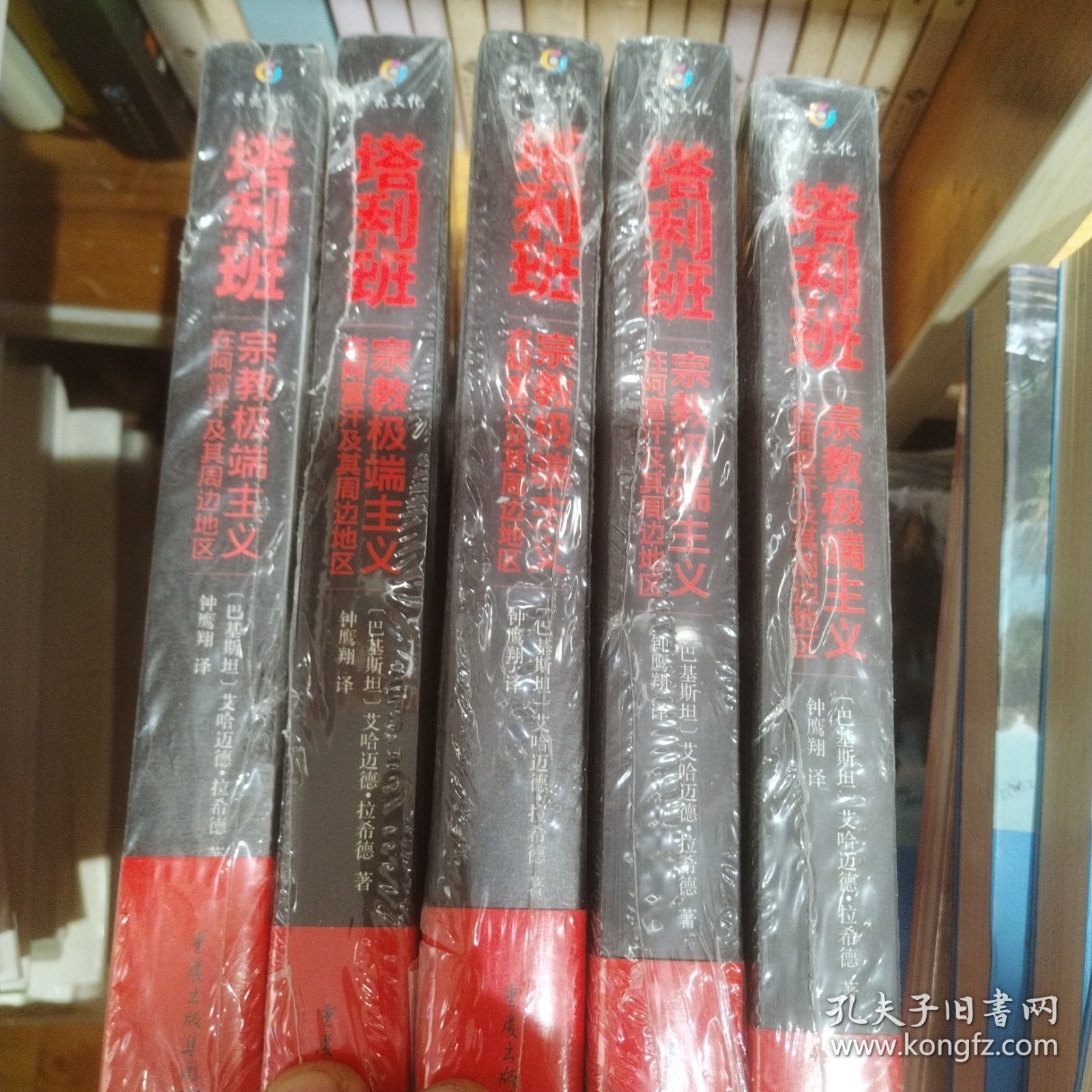 塔利班：宗教极端主义在阿富汗及其周边地区