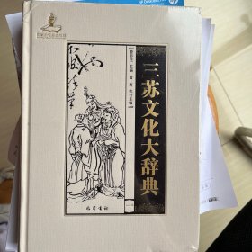 三苏文化大辞典第一册 带塑封