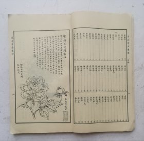 （花卉草虫画谱]清未民初著名画家《馬駘畫寶》花卉草虫画谱。分两部分：第一部分，花卉草虫画法，目录，这部分主要是关于花卉虫草技法。第二部分：百花写生画谱，目录，上集、下集，一本全集，近代著名回族画家马駘画谱。上集是花卉草虫画法，下集百花写生画谱、鱼虫瓜果禽画谱、蘭竹博古画谱。收作者画稿252幅。马骀（1886—1937），清末民初时期的著名画家，《马胎画宝》启功题写《分类画范自习画谱大全》书名。