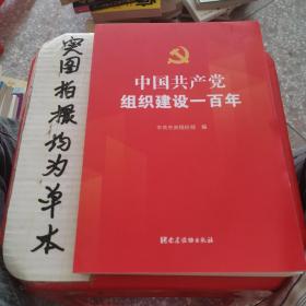 中国共产党组织建设一百年