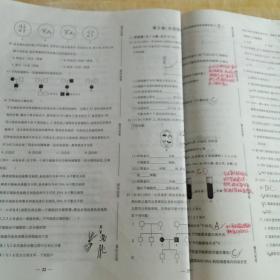 黄冈密卷高中生物必修2/人教版16