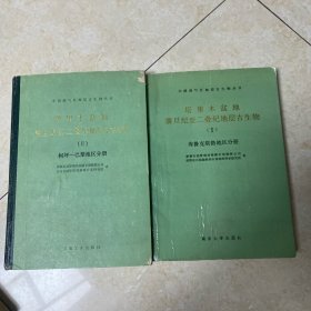 塔里木盆地震旦纪至二叠纪地层古生物、柯坪—巴楚地区分册、库鲁克塔格地区分册、合售2本