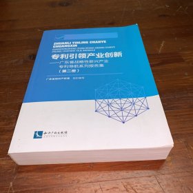 专利引领产业创新：广东省战略性新兴产业专利导航系列报告集（第二册）