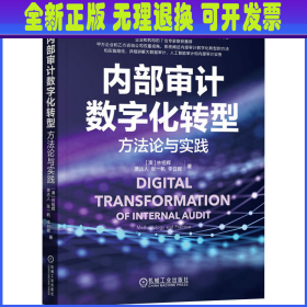内部审计数字化转型 方法论与实践 (澳)林祖辉 等 机械工业出版社