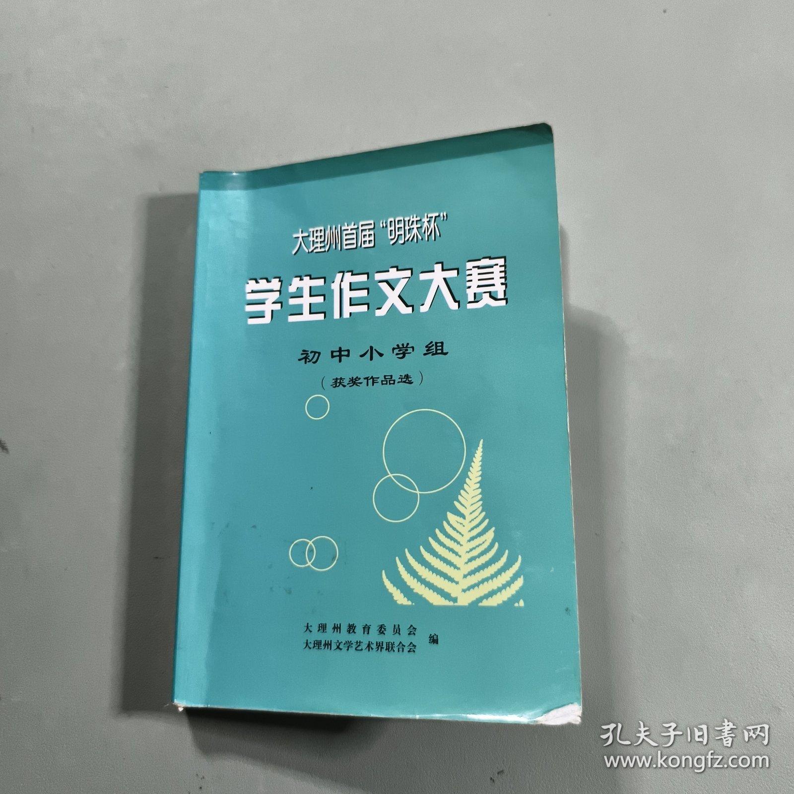 学生作文大赛 初中小学组