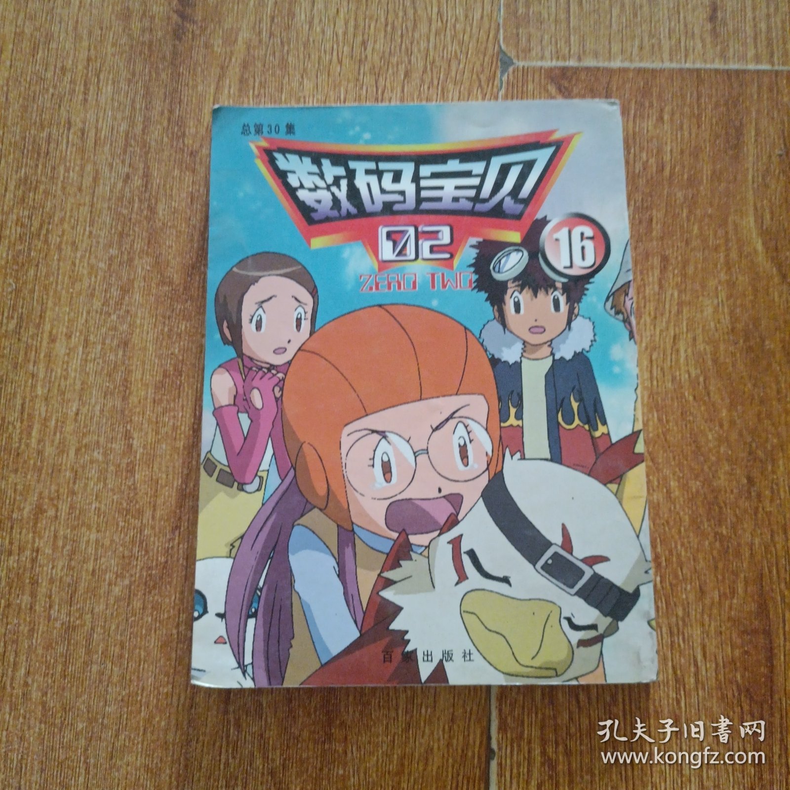 数码宝贝16
