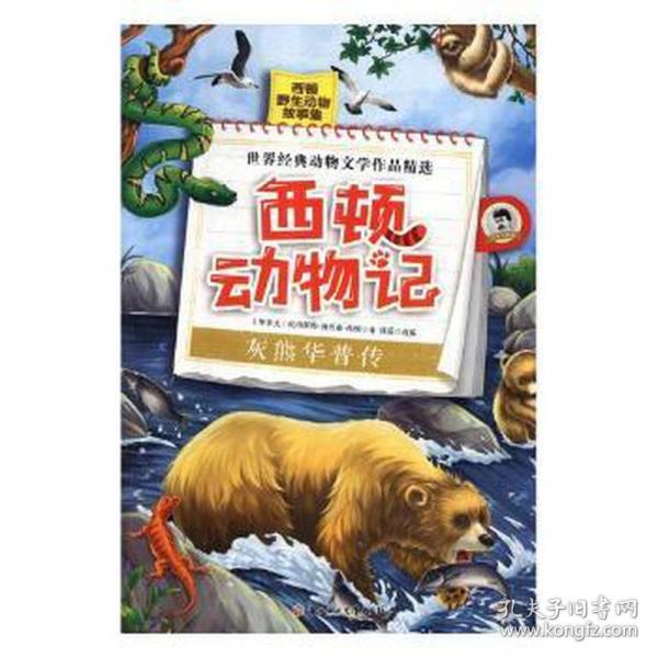 西顿动物记：灰熊华普传（美图版）