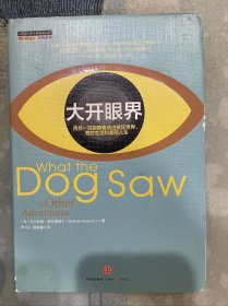 大开眼界：用另一双眼睛看透这疯狂世界、奇妙生活和美丽人生