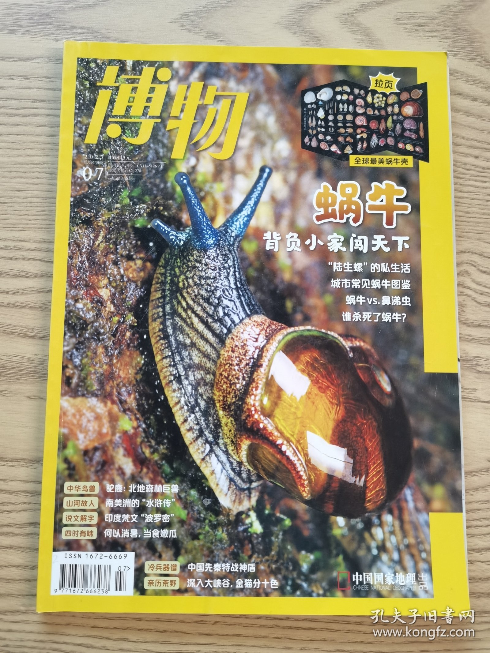 点击查看原图 博物2023.07