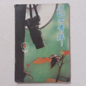 辽宁青年1988-4