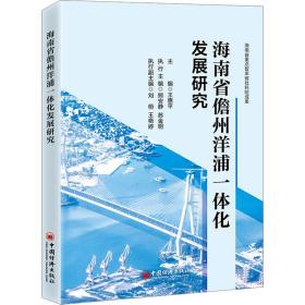 海南省儋州洋浦一体化发展研究 经济理论、法规 王惠主编