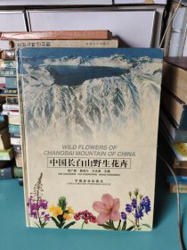 中国长白山野生花卉