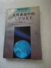 文化紊流中的文学与文土