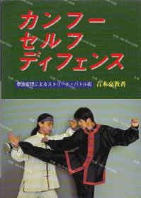 价可议 拳法术理 术 基于功夫一 失衡一拳法术理的斯特里一 战斗术 nmdzxdzx カンフ一 乜ルフディフエンス 拳法術理によるストリ一ト バトル術