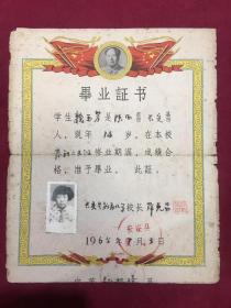 1965年陕西长安县新庄小学毕业证书，带毛像，尺寸：23*18.5厘米，执有人：魏玉芳，陕西长安人，品如图，60包邮。